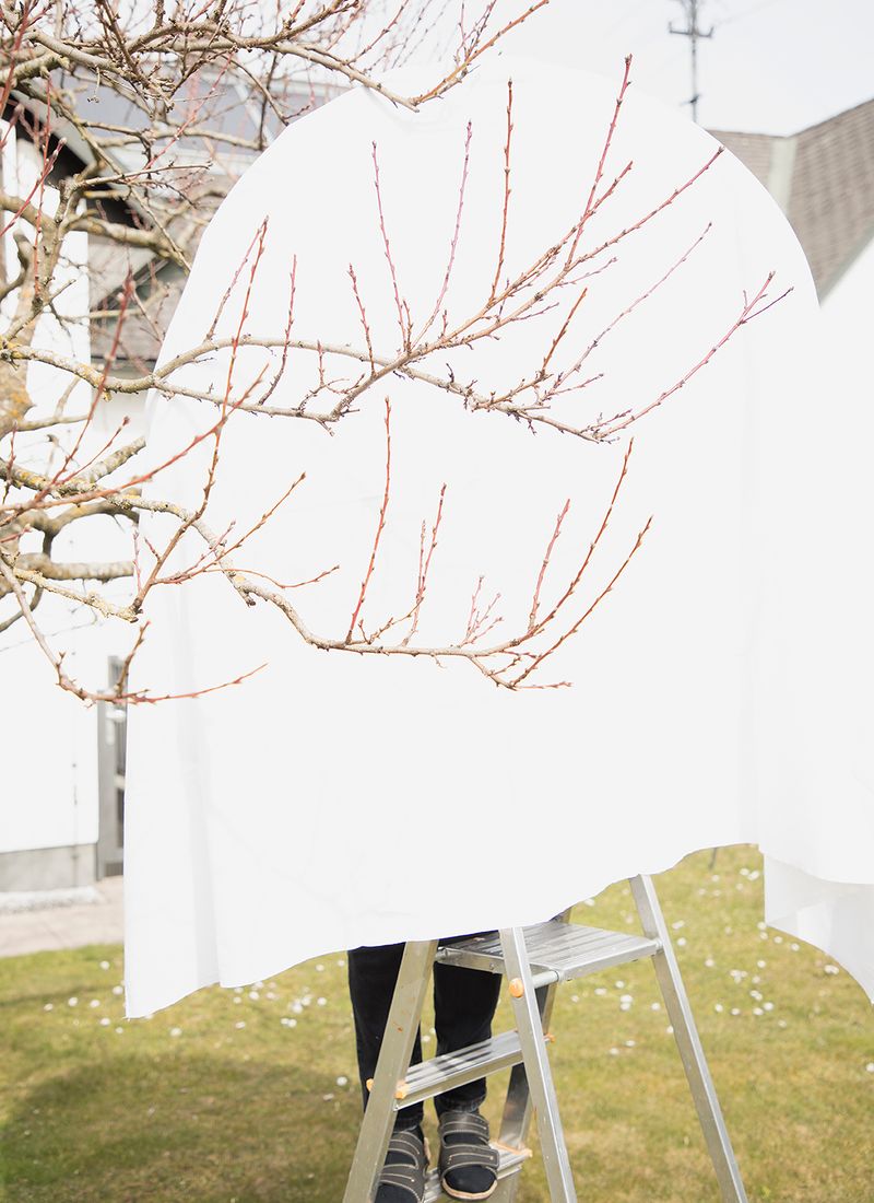 © Irene Charlotte - Image from the Matriarchal Spring photography project