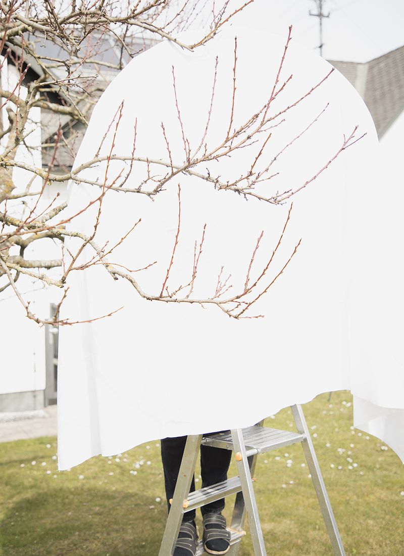© Irene Charlotte - Image from the Matriarchal Spring photography project