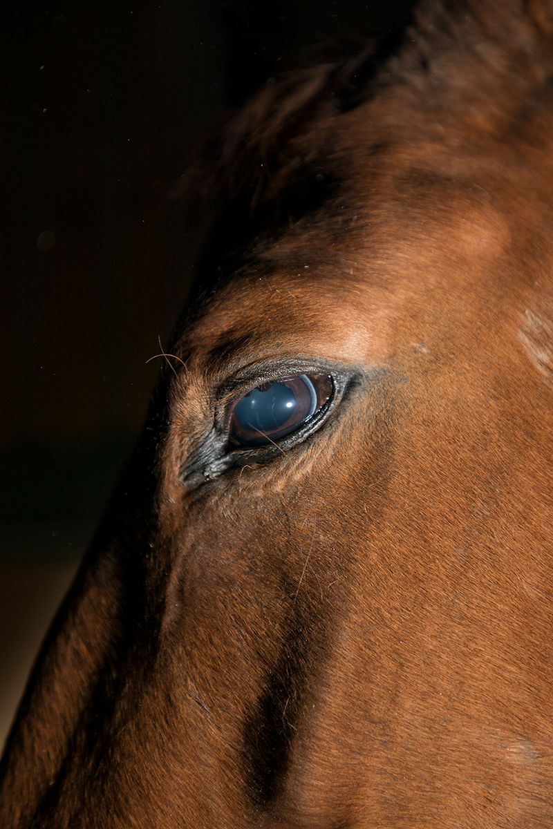 © Irene Charlotte - Image from the Matriarchal Spring photography project