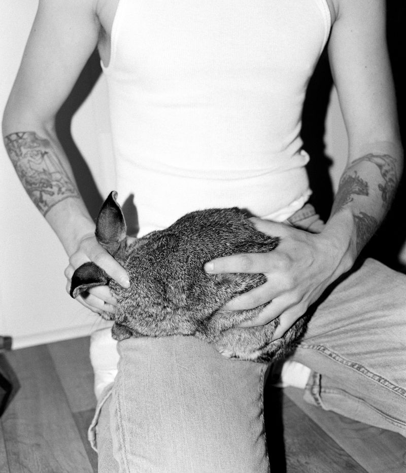 © Colton Rothwell - Dimorphous Bunny. 2023. 3/11 in Sequence.