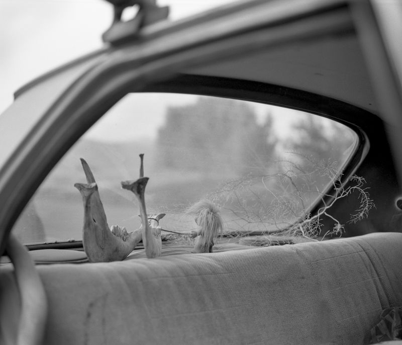© Colton Rothwell - Jätte. 2022. 7/11 in Sequence.