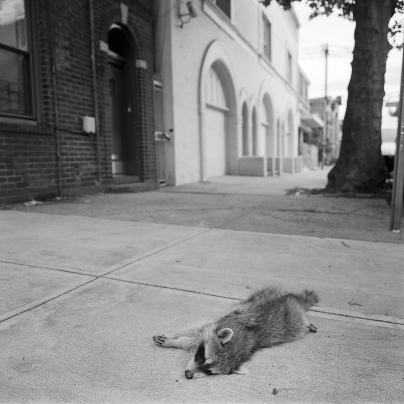 © Sebastian Ferruzo - Image from the Siddhi photography project