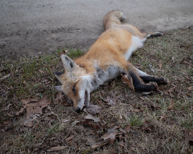 © Sebastian Ferruzo - Image from the [YHWH] and the Birds of Appetite photography project