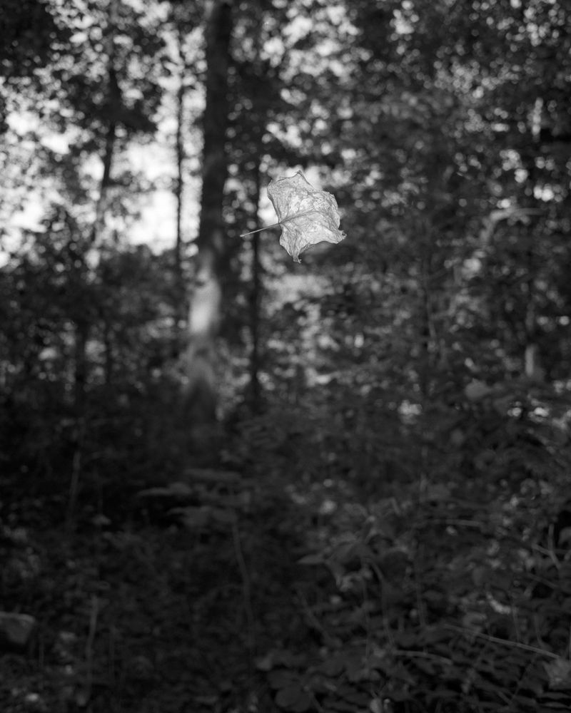 © Sebastian Ferruzo - Image from the [YHWH] and the Birds of Appetite photography project