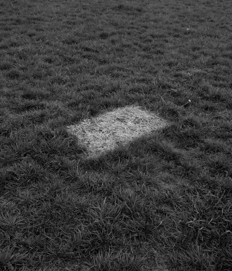 © Sebastian Ferruzo - Image from the [YHWH] and the Birds of Appetite photography project