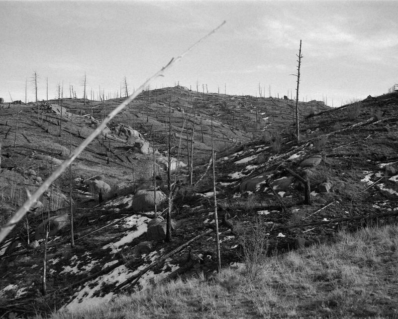 © Sebastian Ferruzo - Image from the [YHWH] and the Birds of Appetite photography project