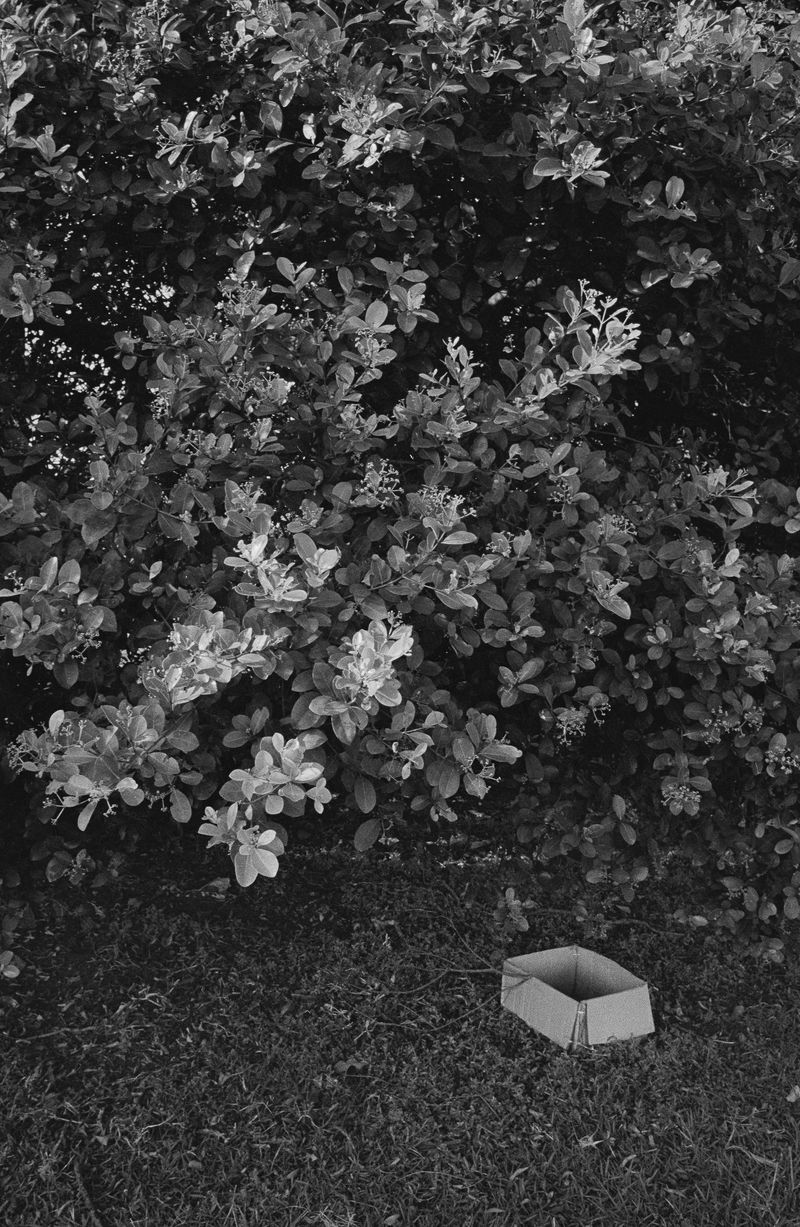 © Adil Hasan - Image from the Black CAT White CAT photography project