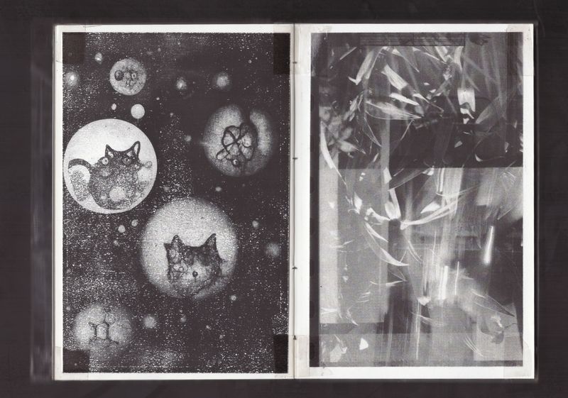© Adil Hasan - Image from the Black CAT White CAT photography project