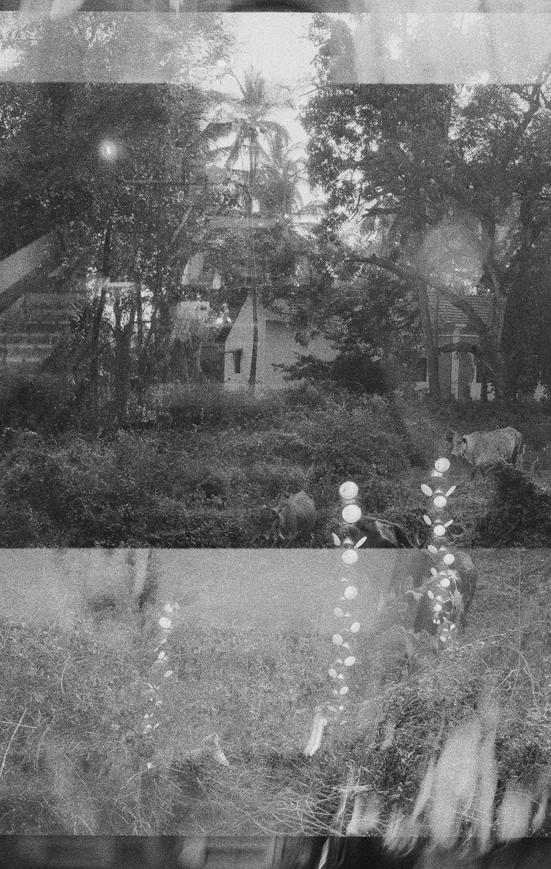 © Adil Hasan - Image from the Black CAT White CAT photography project