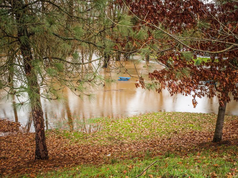 © Steve Davis - Oregon