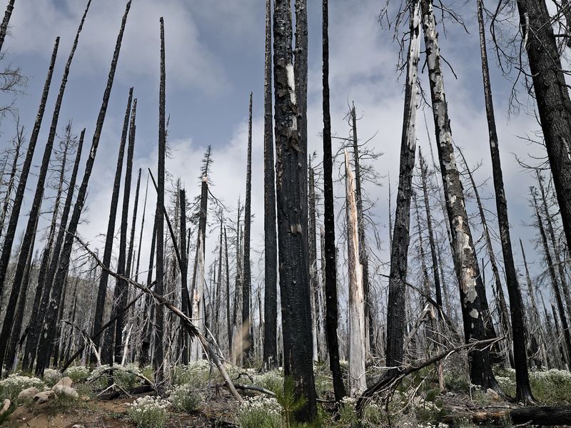 © Steve Davis - Image from the The Western lands photography project