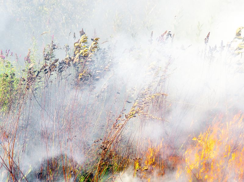 © Steve Davis - Image from the The Western lands photography project