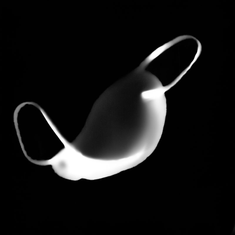 © Steve Davis - Image from the Pandemiglyphs photography project