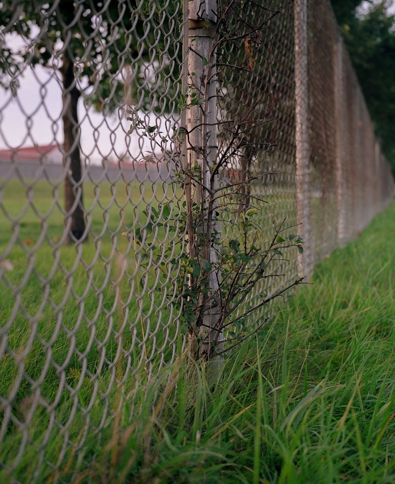 © Judith Crico - Image from the Don't Worry About Me photography project