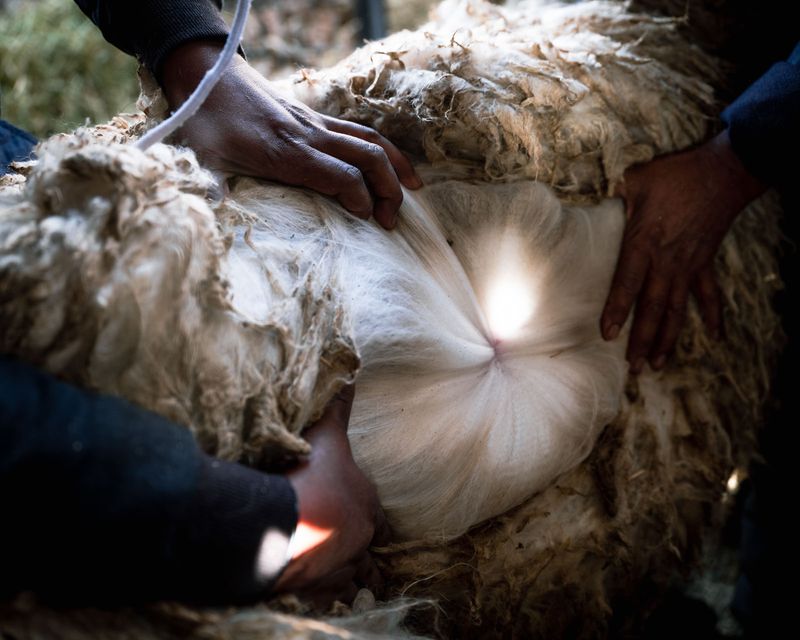 © Fernanda Soto Mastrantonio - Image from the The cumbias we heard up there photography project