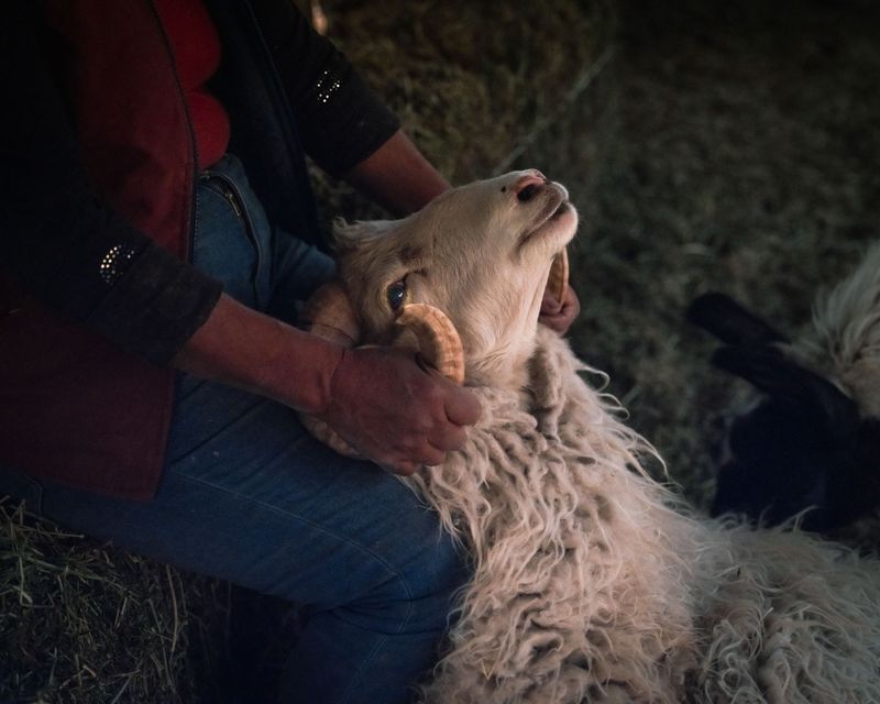 © Fernanda Soto Mastrantonio - Image from the The cumbias we heard up there photography project