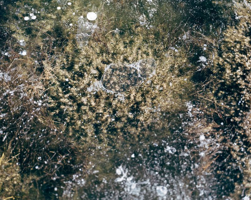 © Fernanda Soto Mastrantonio - Image from the The cumbias we heard up there photography project