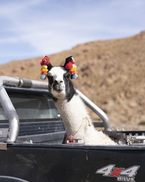 © Fernanda Soto Mastrantonio - Image from the The cumbias we heard up there photography project