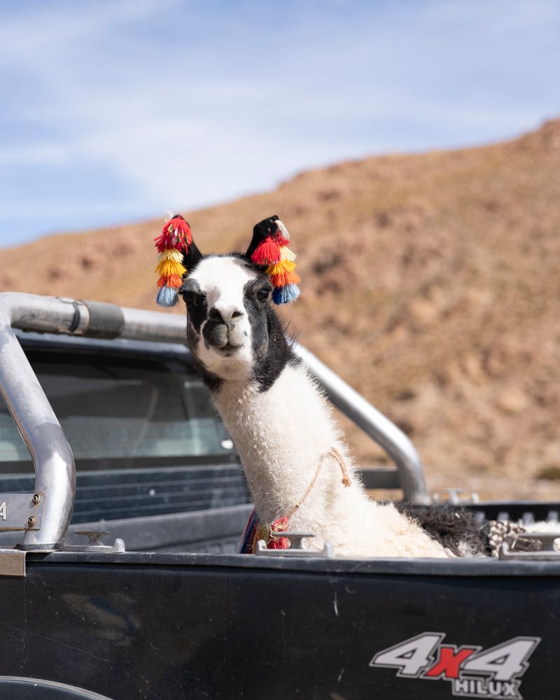 © Fernanda Soto Mastrantonio - Image from the The cumbias we heard up there photography project