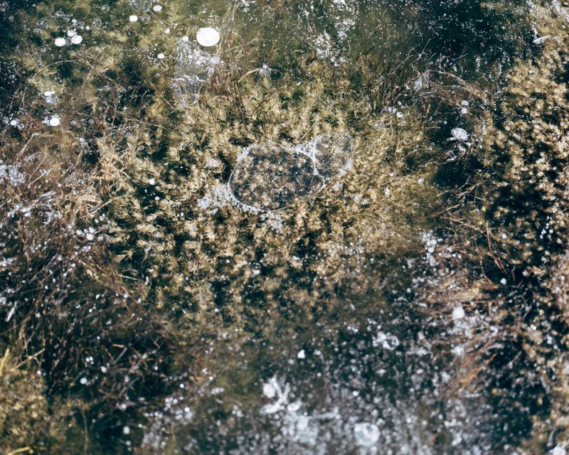 © Fernanda Soto Mastrantonio - Image from the The cumbias we heard up there photography project