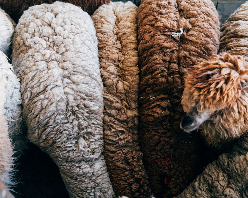 © Fernanda Soto Mastrantonio - Image from the The cumbias we heard up there photography project