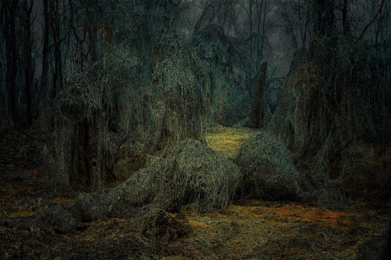 © Michelle Blancke - Image from the Secret Garden - Realm photography project