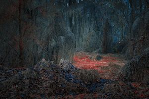 Secret Garden - Realm