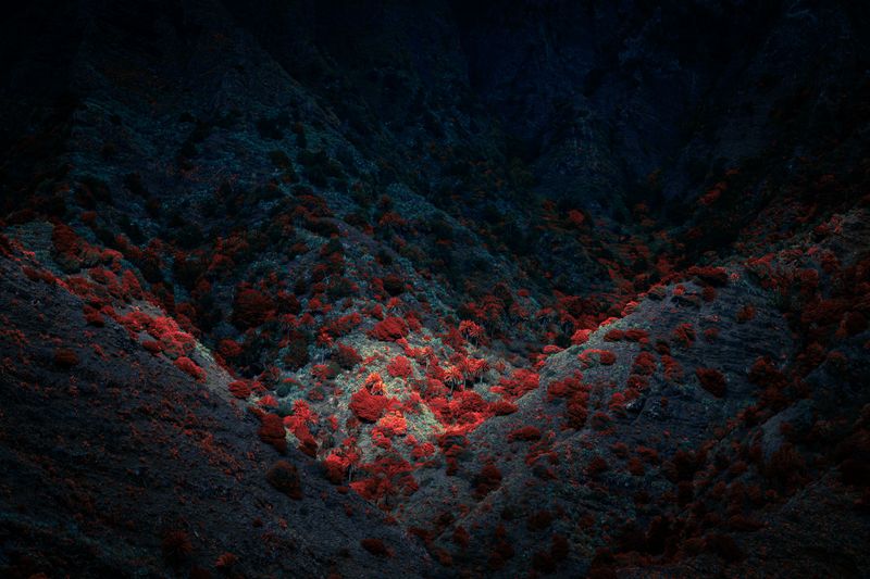 © Michelle Blancke - Image from the Secret Garden photography project
