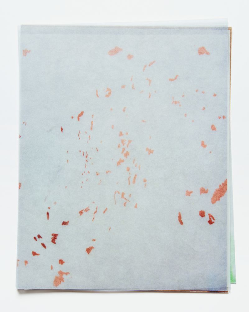 © Margaux Roy - Visual 3 - Layer 2