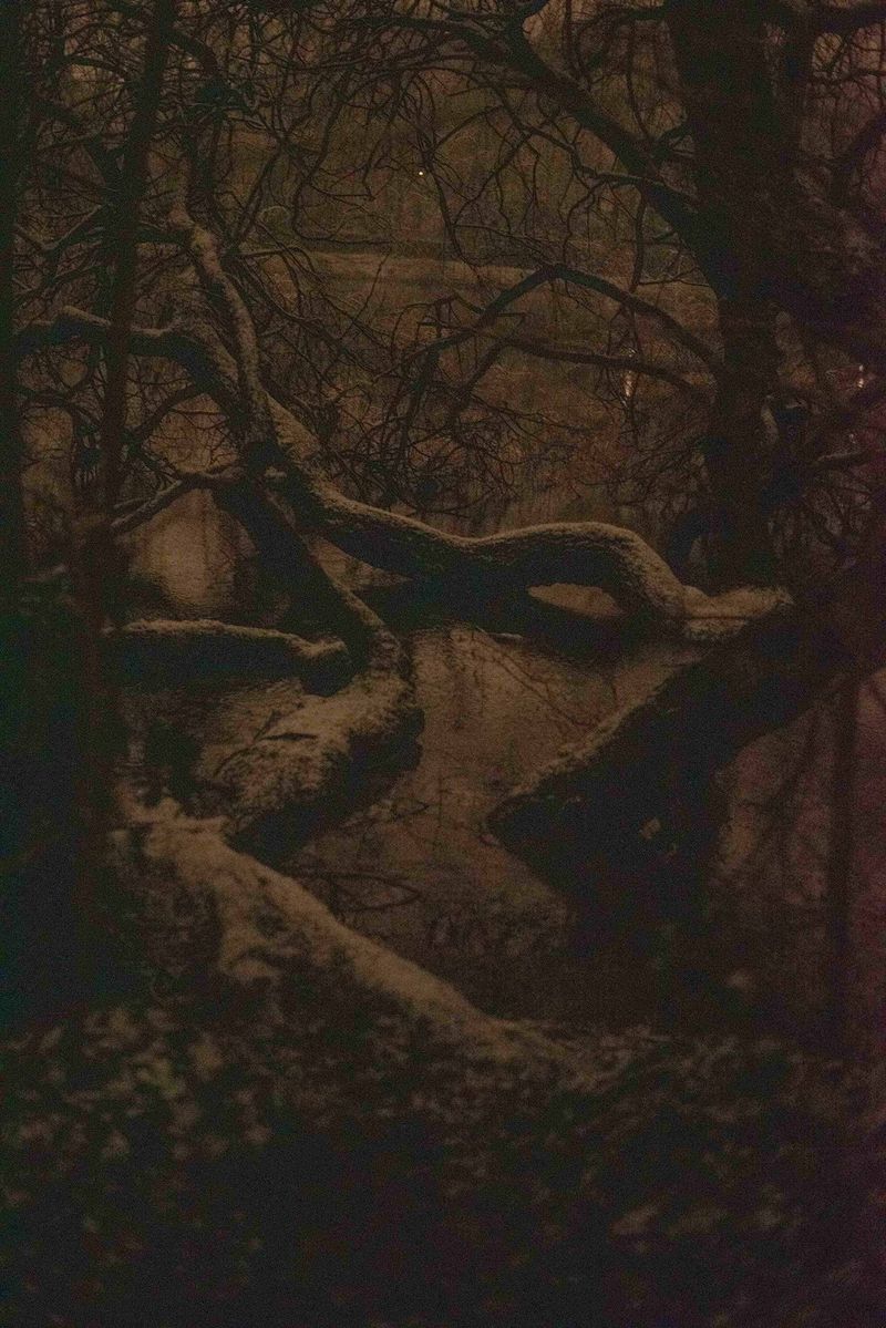 © Rhune Bervoet - Image from the Entre chien et loup photography project