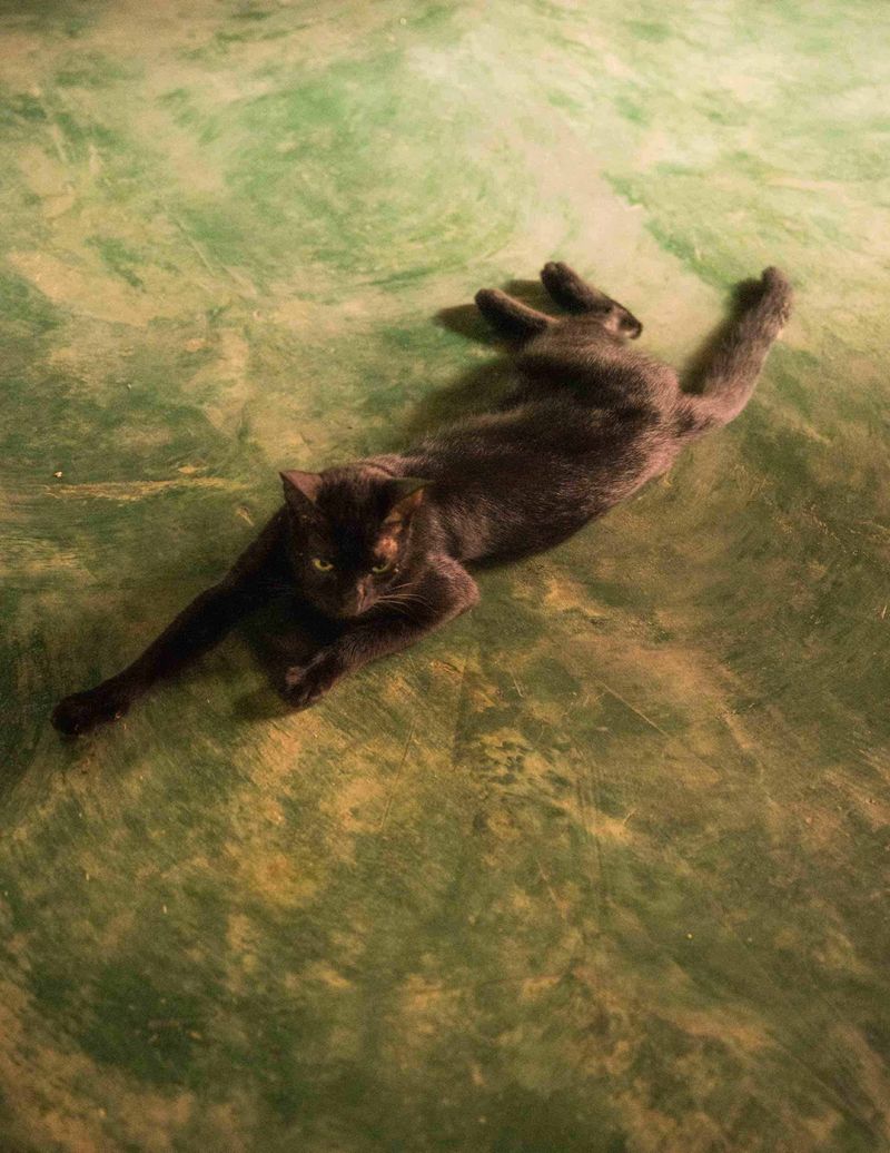 © Rhune Bervoet - Image from the Entre chien et loup photography project