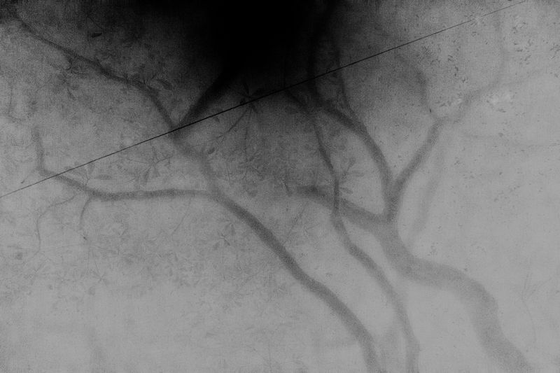 © Annemarie Deckers - Image from the The Stranger I Am photography project