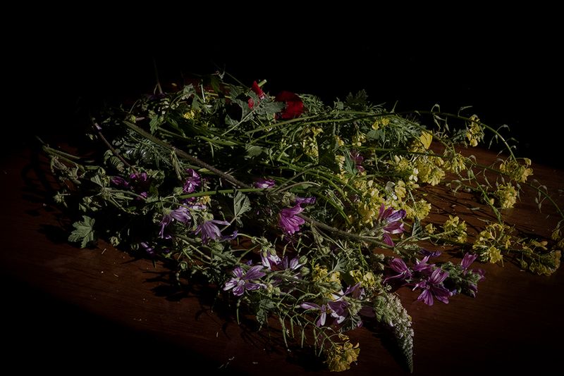 © Annemarie Deckers - Image from the Absence photography project