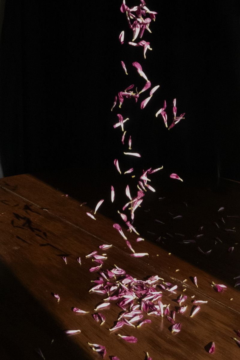 © Annemarie Deckers - Image from the Absence photography project
