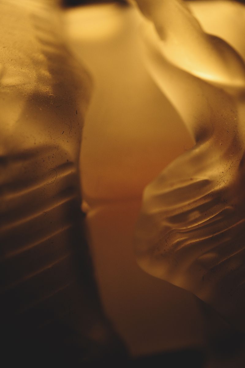 © Annemarie Deckers - Image from the The Stranger I Am photography project