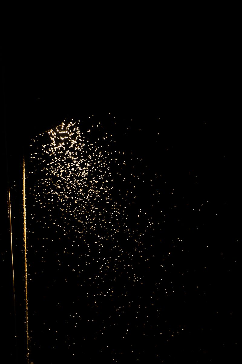 © Annemarie Deckers - Image from the The Stranger I Am photography project