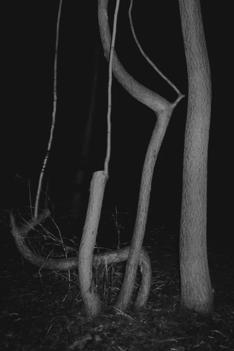 © Annemarie Deckers - Image from the The Stranger I Am photography project