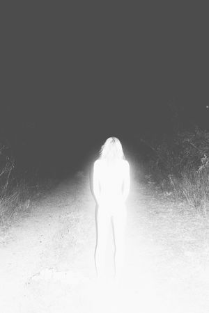 The Stranger I Am