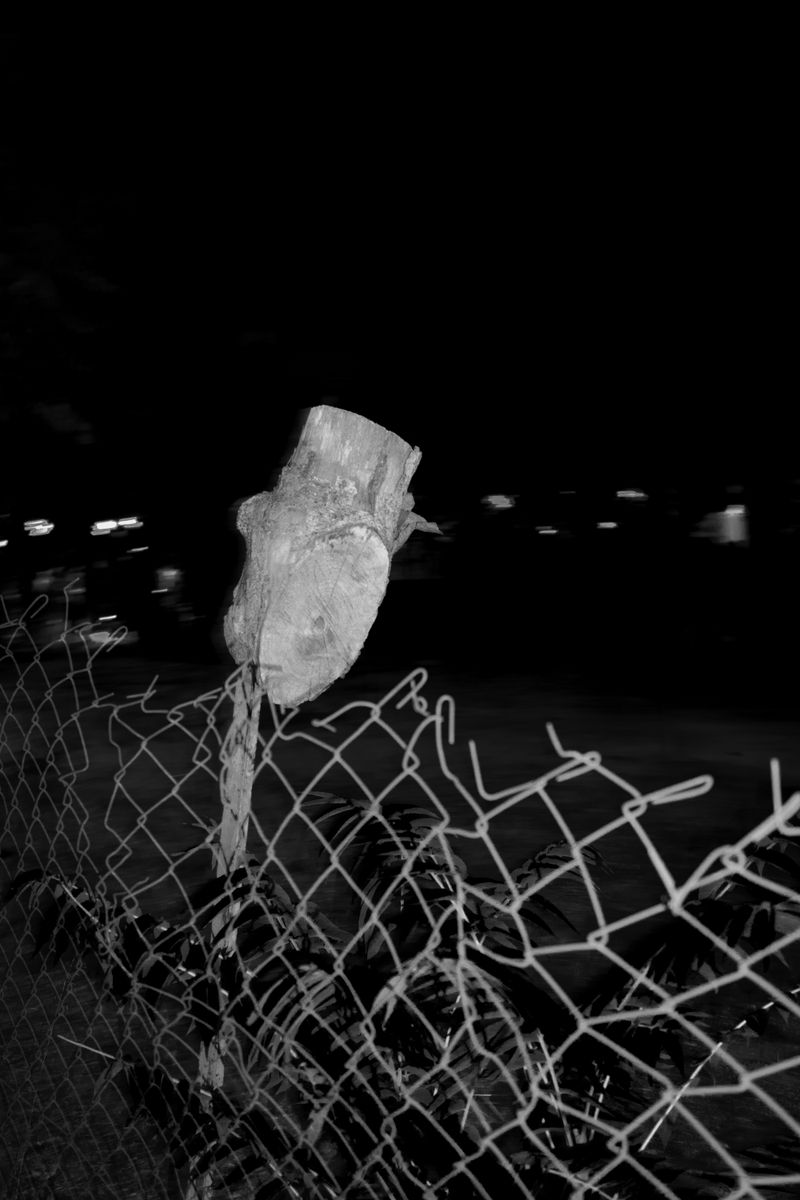 © Annemarie Deckers - Image from the The Stranger I Am photography project