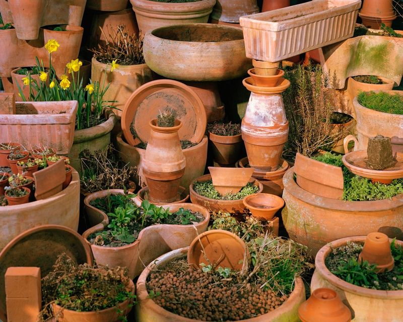 © Lou-Lou van Staaveren