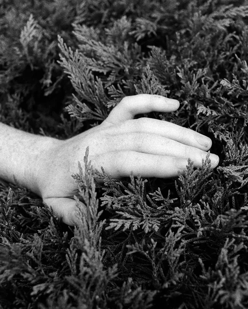 © Laura F. Izuzquiza