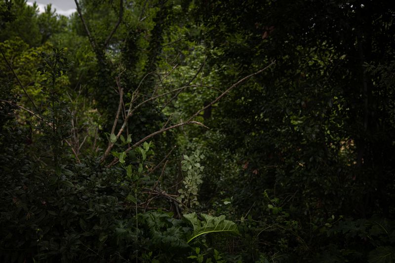 © Susanna Fiona Murray - Image from the After us photography project
