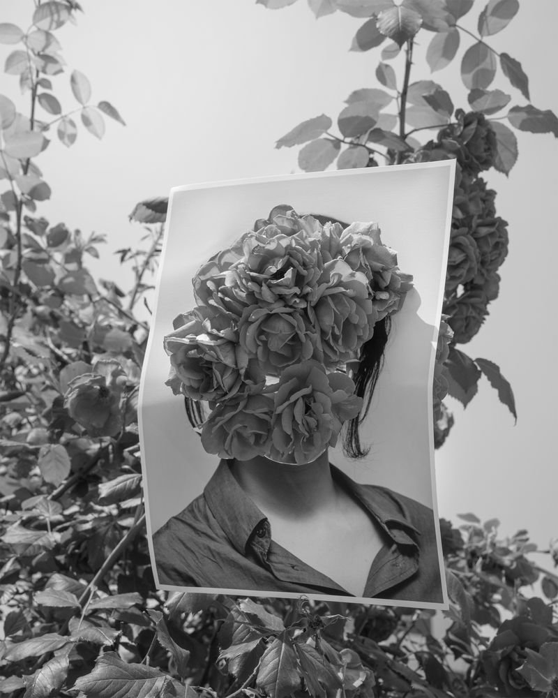 © sum shin - Image from the From the Sublime to the Ridiculous photography project