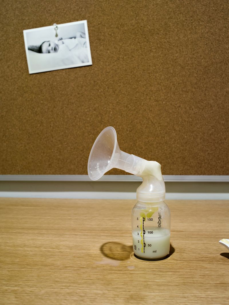 © Corinne Botz - Private School Teacher from Milk Factory, Archival Pigment Print, 16” x20”, 2016 - 2025.