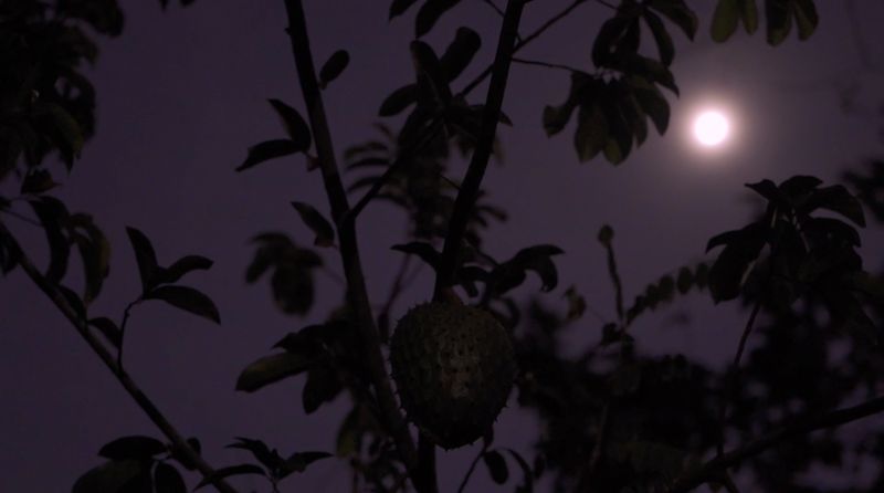 © Tova Katzman - Image from the Mr. Brown’s Garden at the Edge of the World photography project