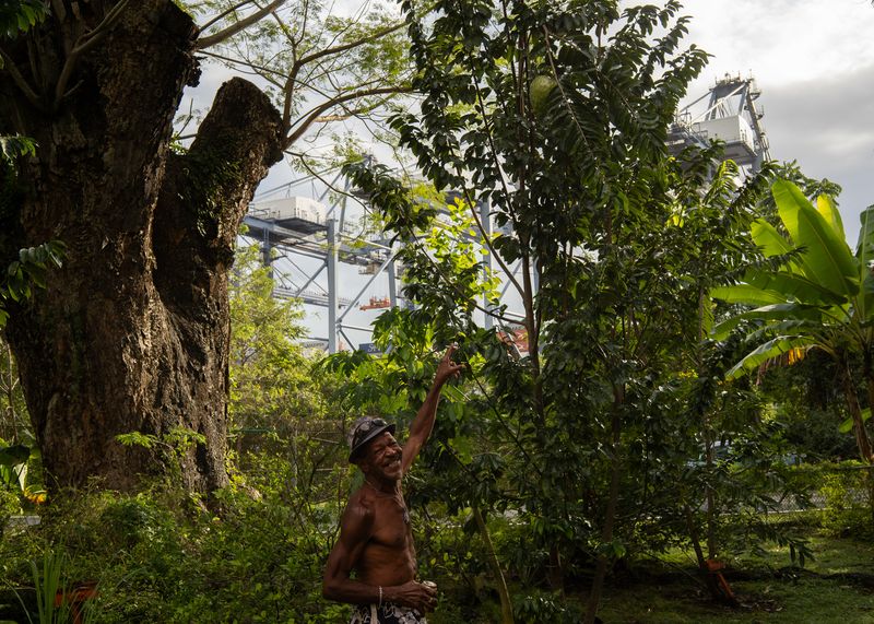 © Tova Katzman - Brown pointing to the soursop fruit hanging from the tree he planted from seed, 2020