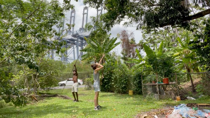 © Tova Katzman - Image from the Mr. Brown’s Garden at the Edge of the World photography project