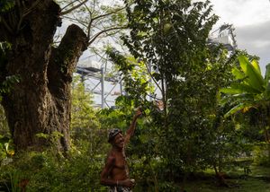 Mr. Brown’s Garden at the Edge of the World