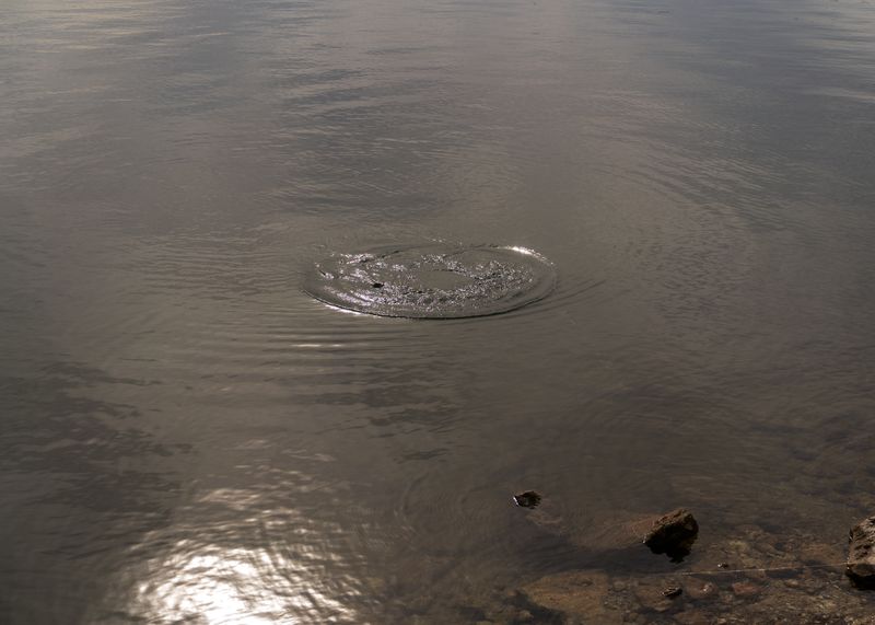 © Tova Katzman - Untitled - 2023