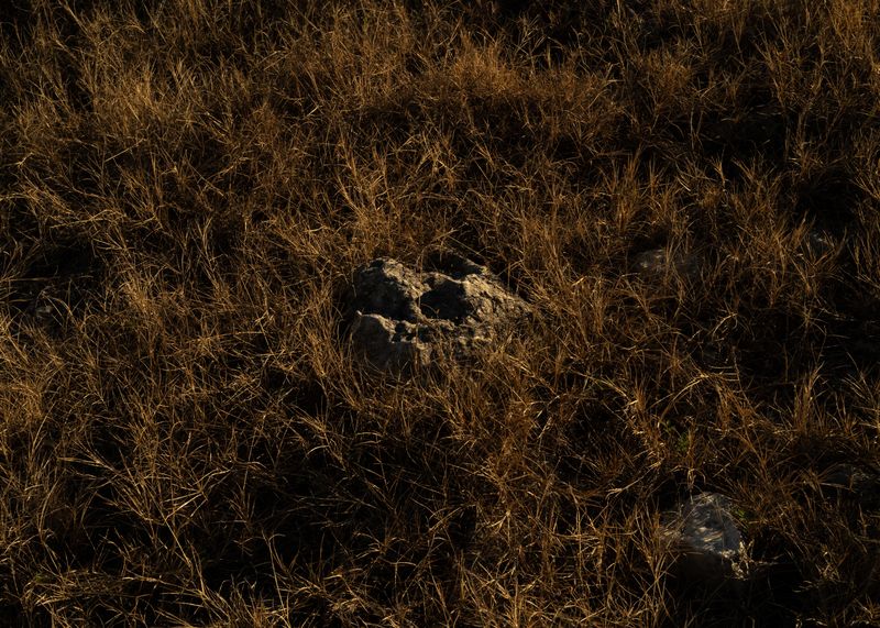 © Tova Katzman - Rock 2024